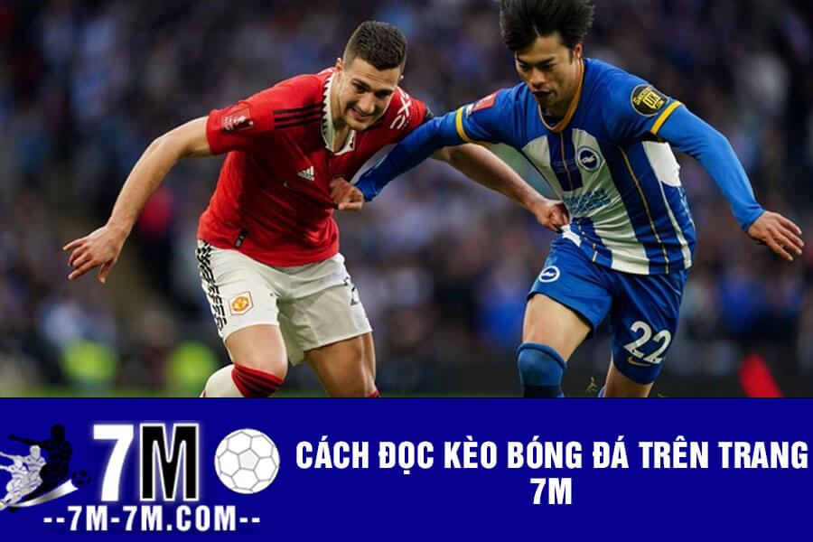 Cách đọc kèo bóng đá trên trang 7m