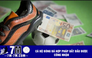 Cá độ bóng đá hợp pháp bắt đầu được công nhận 