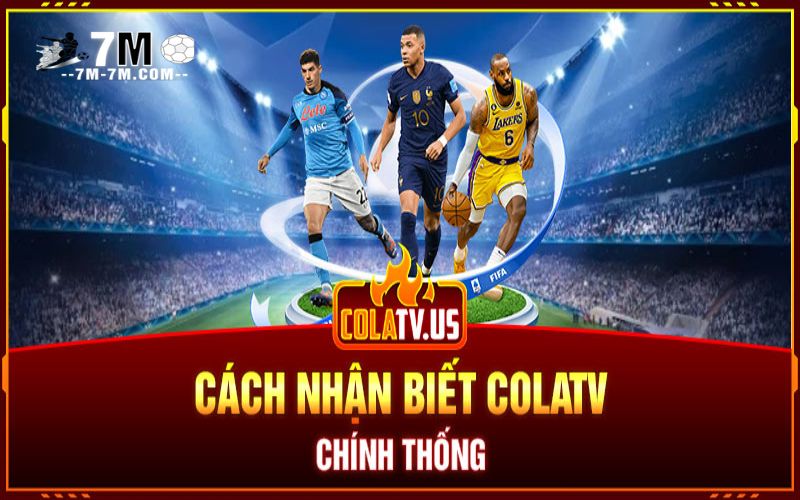 Lý do kênh colatv trực tiếp bóng đá ra đời Lý do kênh colatv trực tiếp bóng đá ra đời