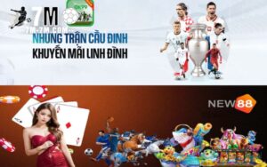 Tổng quan về ok9 và new88