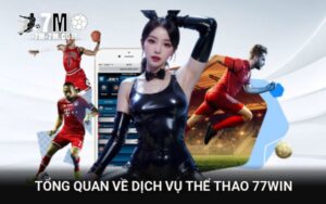 Tổng quan về dịch vụ thể thao 77WIN