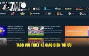 Chế độ khuyến mãi và ưu đãi hấp dẫn
