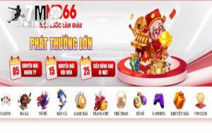 Giới thiệu chung về MB66