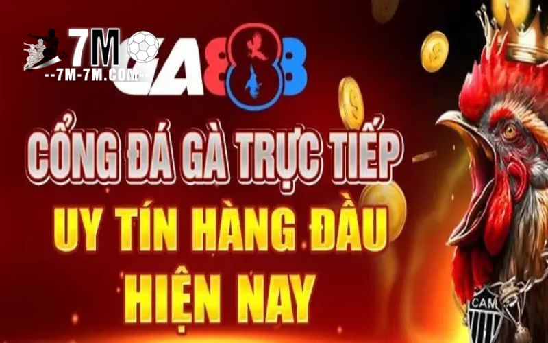Sảnh đá gà trực tuyến uy tín tại GA888